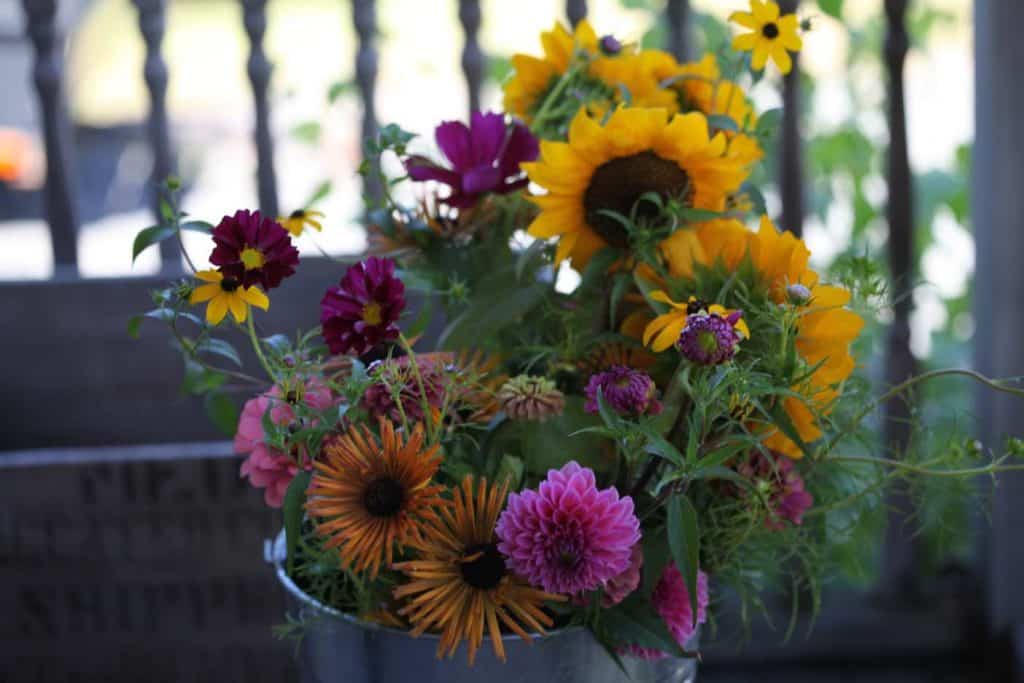 mixed bouquets with Rudbeckia