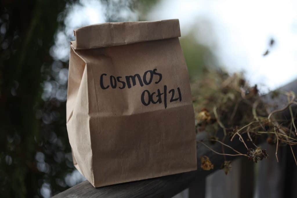 cosmos seeds in a paper bag on a wooden railing