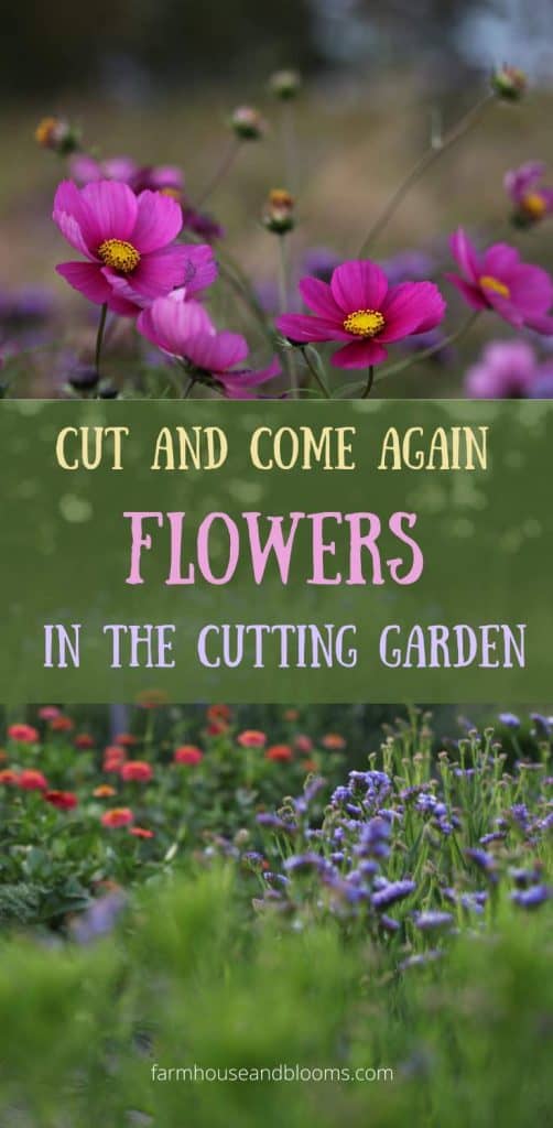 30 Colorful Flowers and Foliage for the Garden