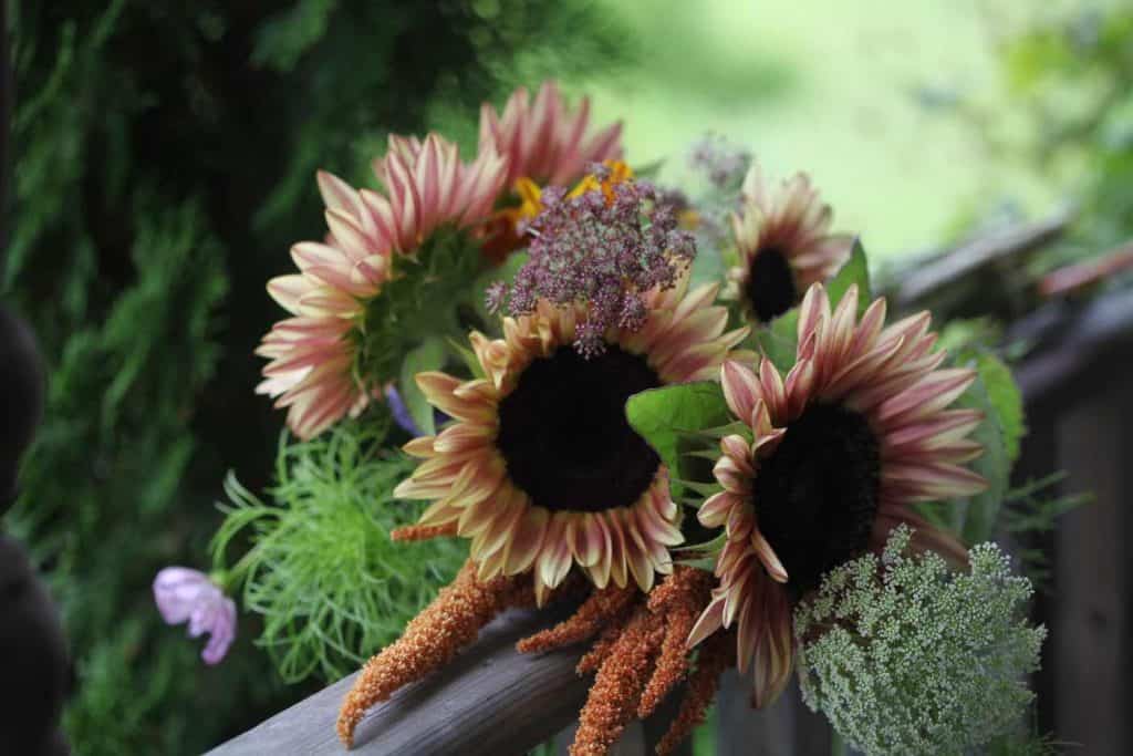 a mixed sunflower bouquet on a wooden railing