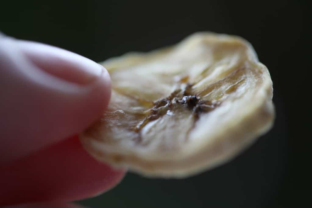 a hand holding a dehydrated banana slice done in the air fryer