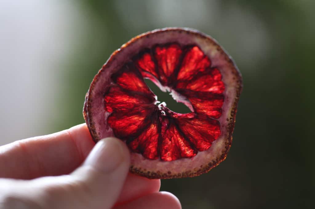 a hand holding a dehydrated blood orange slice done in the air fryer