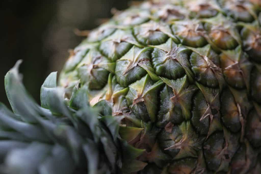closeup of a pineapple to be dehydrated