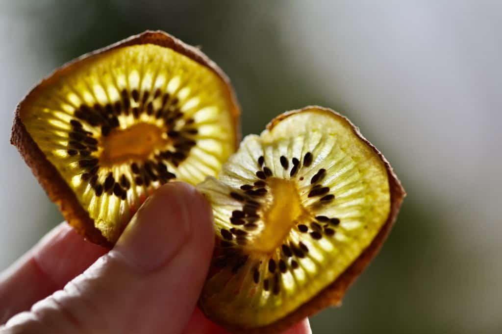 a hand holding dehydrated kiwi done in the air fryer