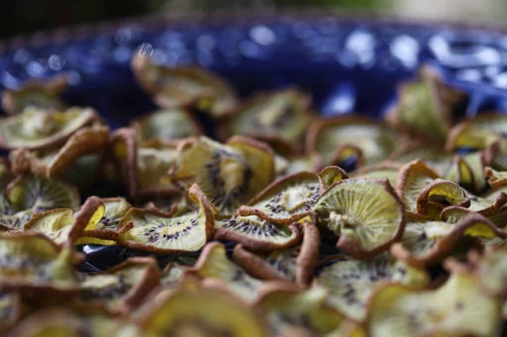 dehydrated kiwi slices with the peels left on, done in the air fryer