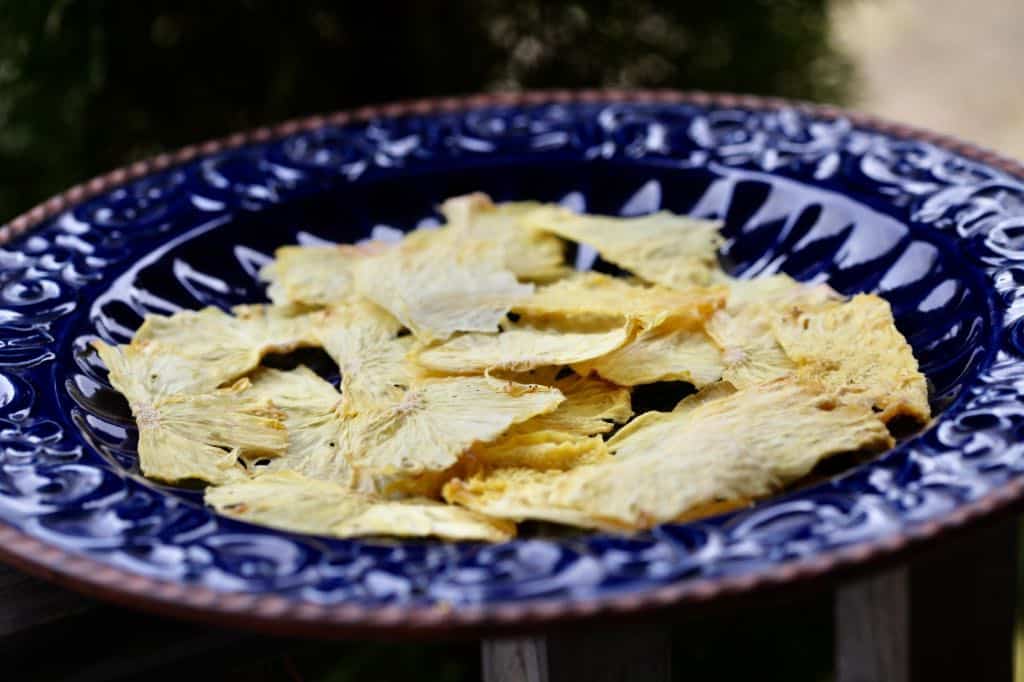 dehydrated pineapple slices on a blue platter