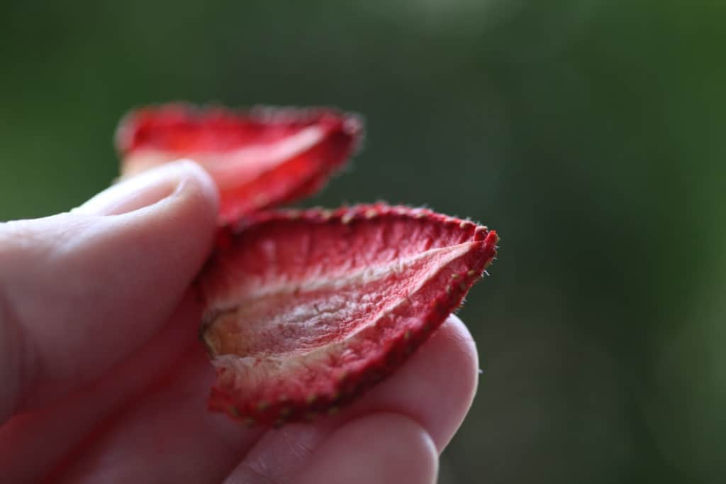 a hand holding dried strawberries