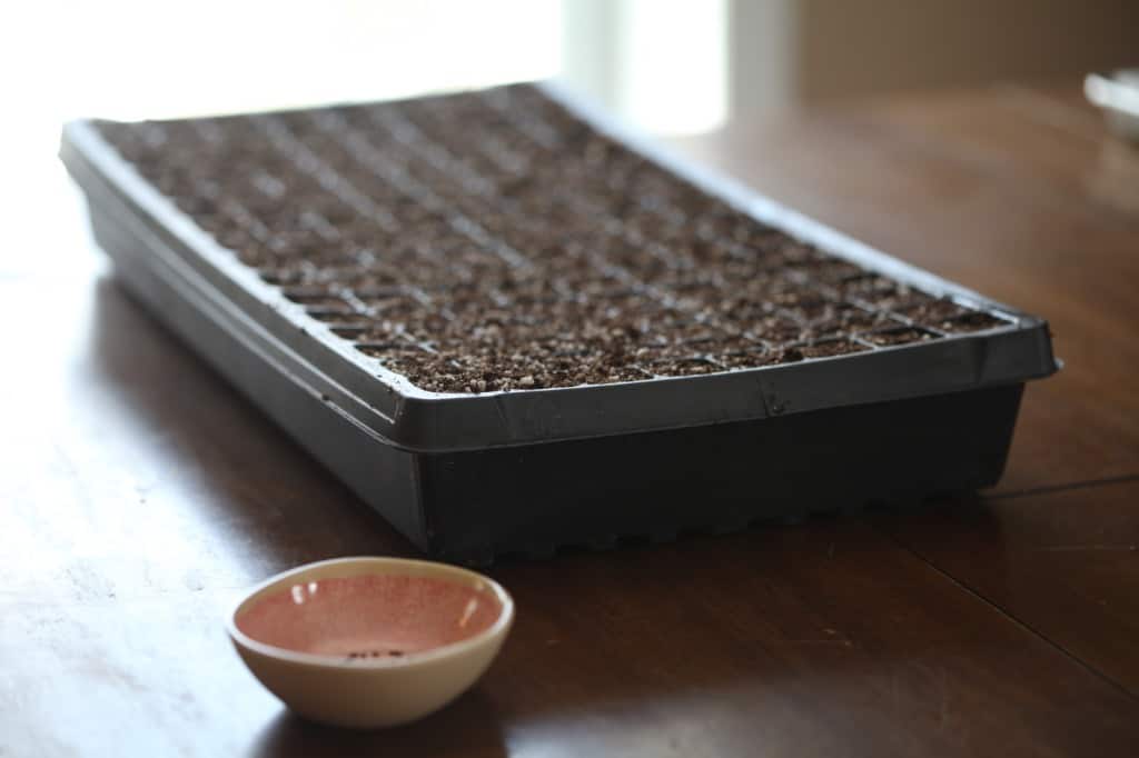 a cell tray and a small pink bowl on a wooden table, ready for planting seeds indoors 