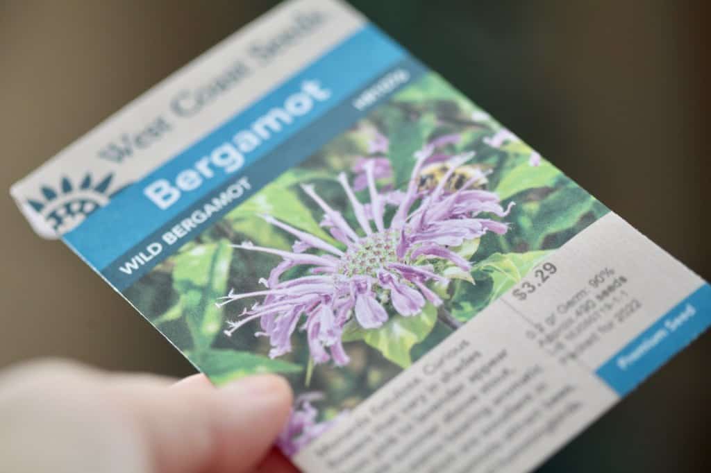 a hand holding a wild bergamot seed package