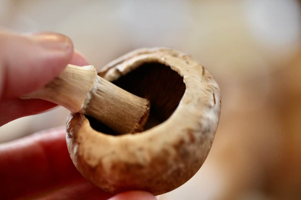 a hand popping the mushroom stems from the caps by pushing them sideways