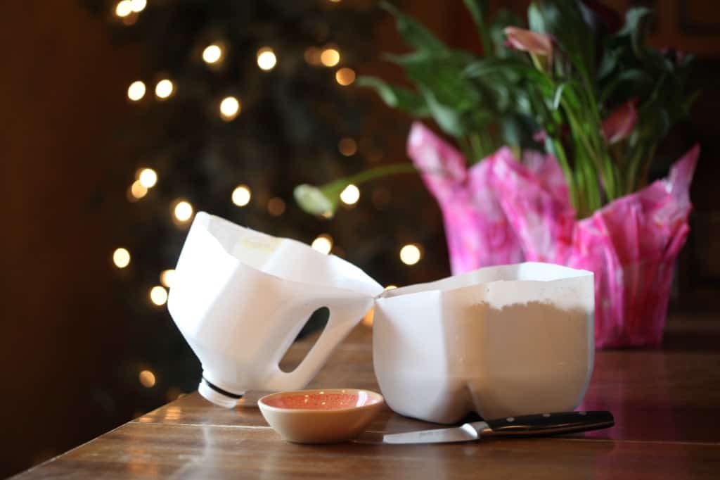  a jug prepared for winter sowing  obedient plant seeds