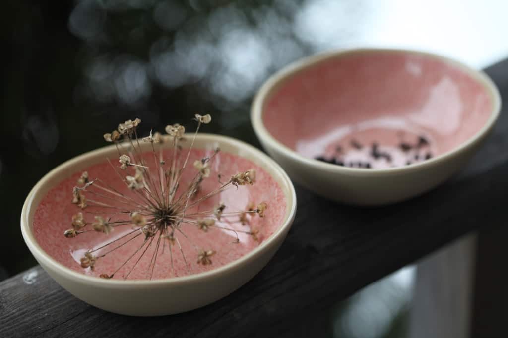 two pink bowls on a wooden railing, one containing an allium seed head and one containing black allium seeds
