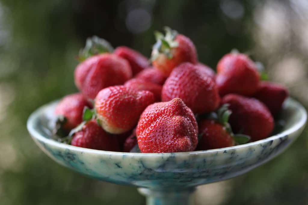 red strawberries in a green platter