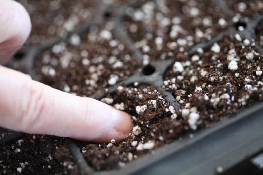 a hand planting seeds into a cell tray filled with soil