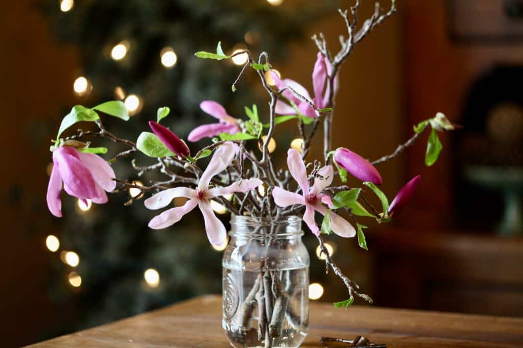 magnolia flowers and branches in a mason jar