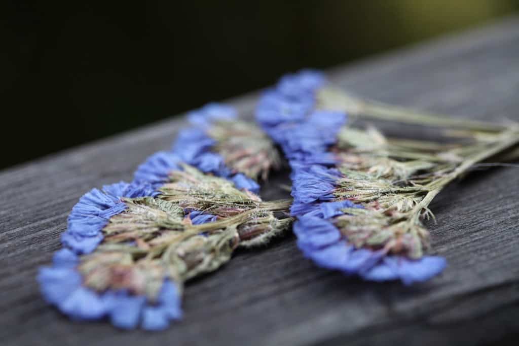  pressed statice blooms on a wooden railing