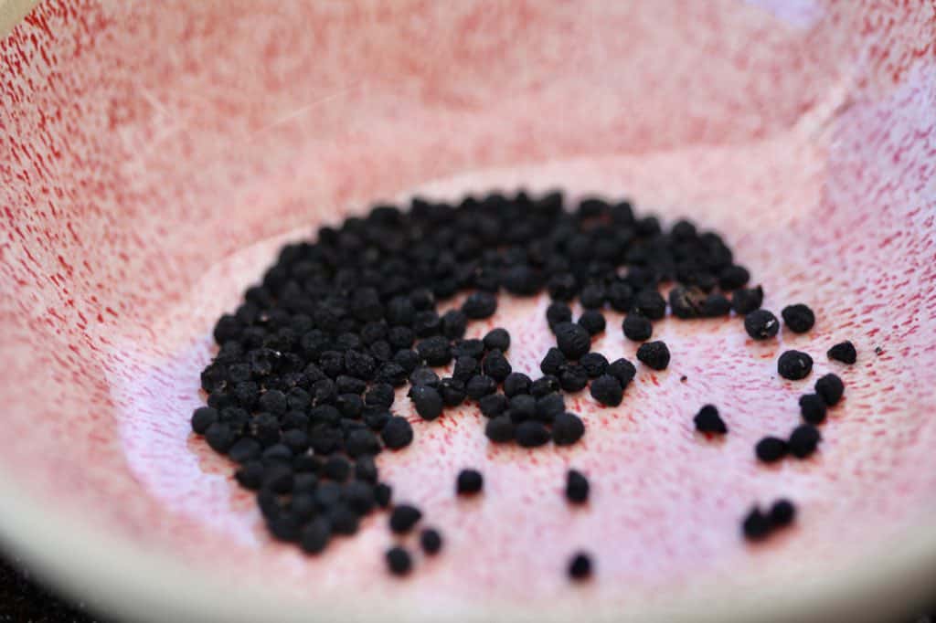black allium seeds in a pink bowl