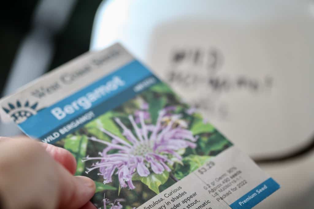 a hand holding a wild bergamot seed package in front of a winter sowing jug