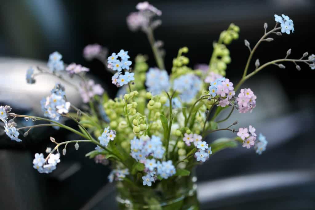Lily of the Valley and forget me nots from the garden