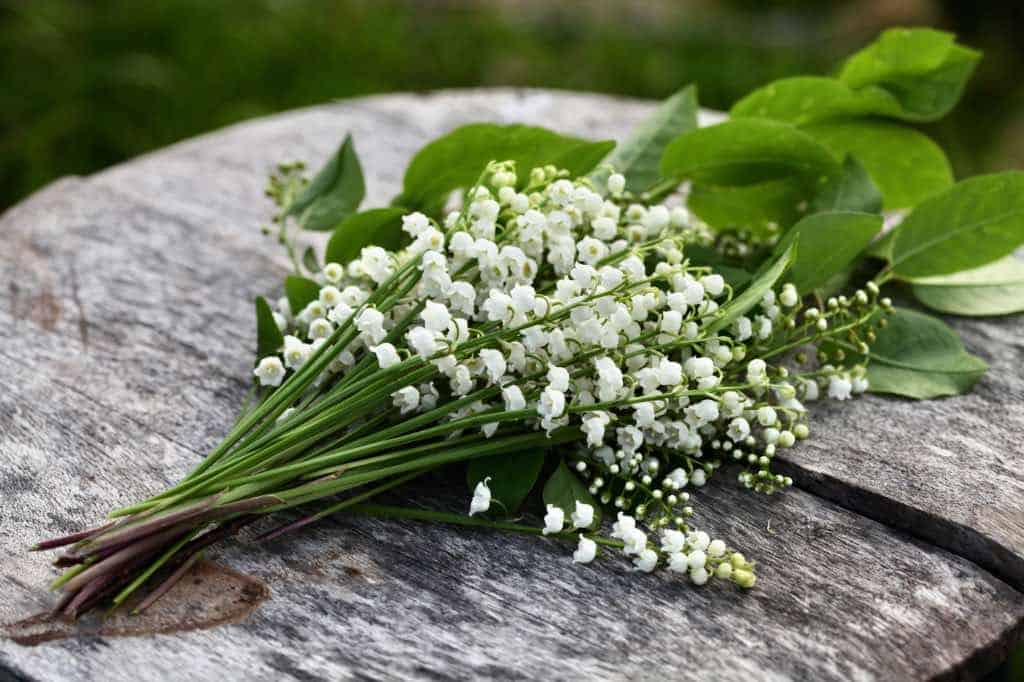 a Lily of the Valley bouquet on a rustic wooden table