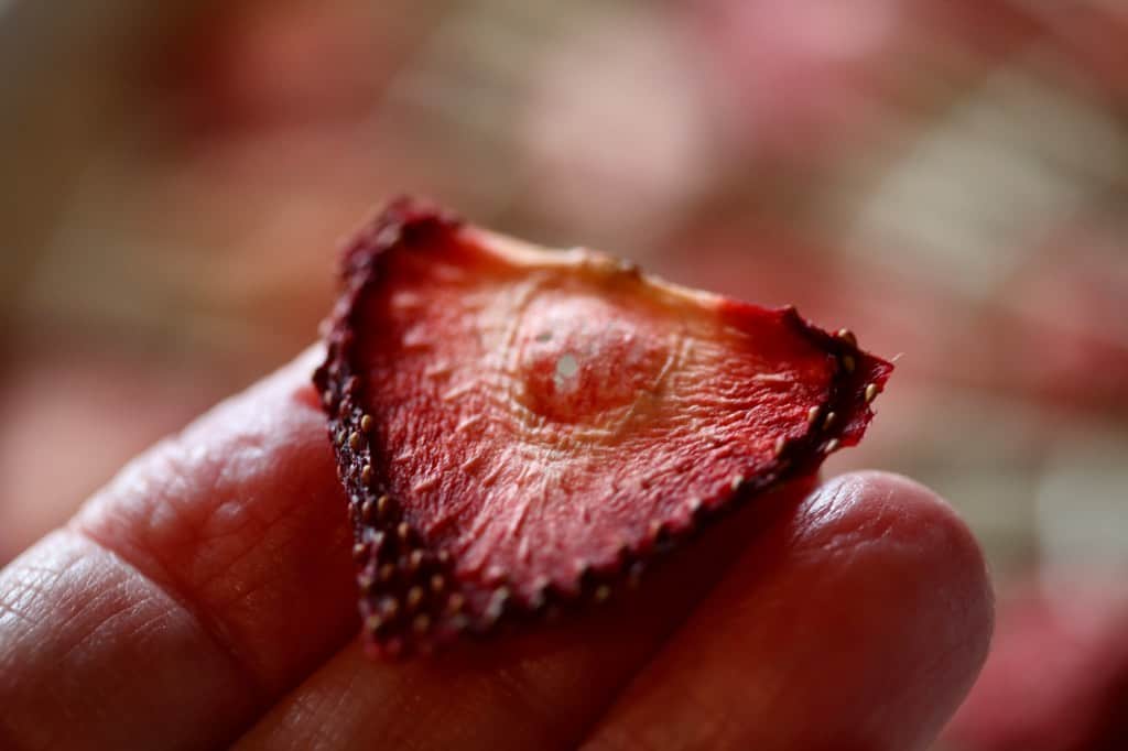 a hand holding a dehydrated strawberry slice