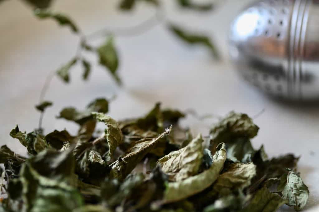 dried mint in a bowl with a tea ball