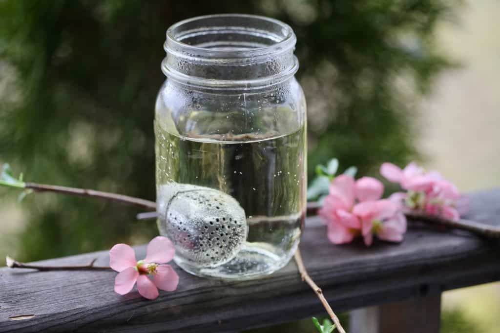 tea on a wooden railing next to forced quince blossoms