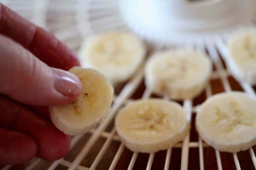 a hand placing banana slices in a single layer on the dehydrator tray