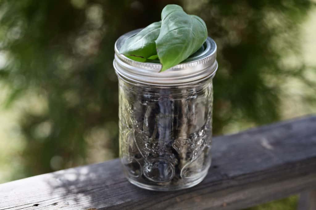 dried basil in a mason jar on a wooden railing, topped with two green basil leaves