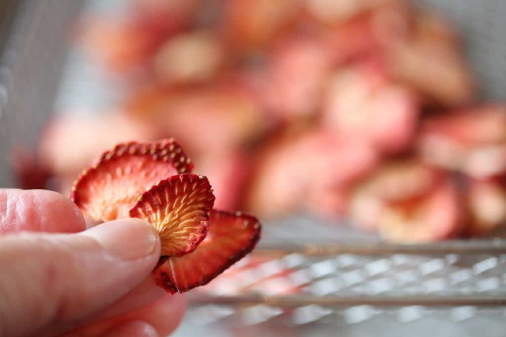a hand holding strawberries dehydrated in an air fryer, with a blurred background