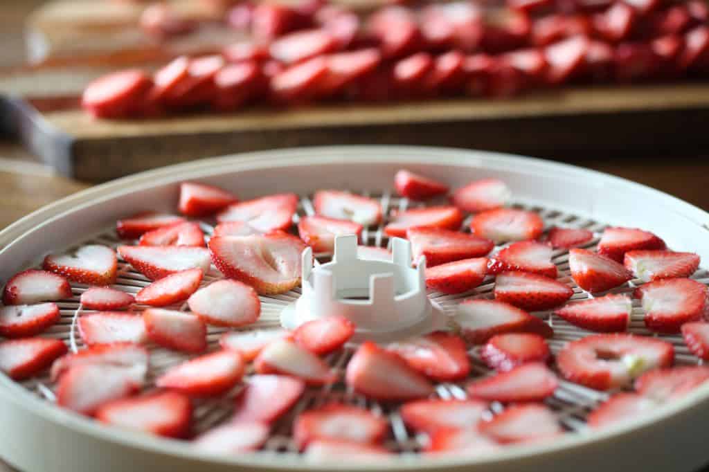 strawberry slices on a dehydrator tray