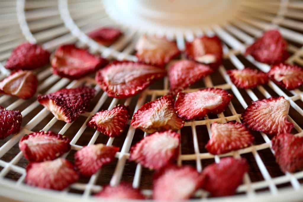 strawberry slices on a dehydrator tray after dehydrating