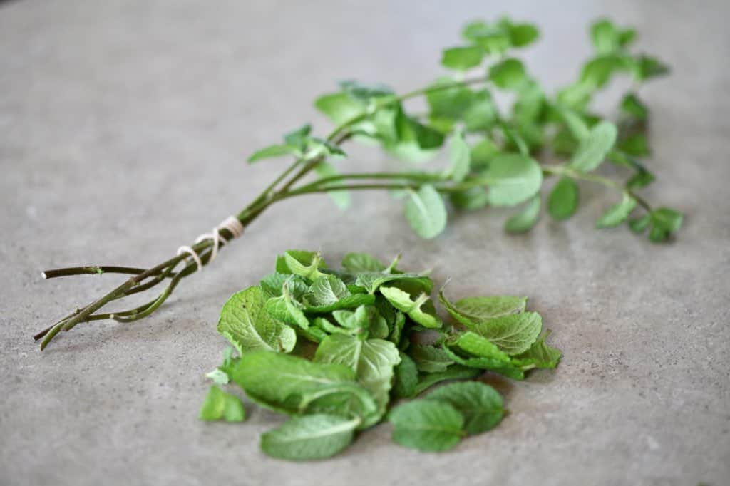 bundled stems of fresh mint tied together with an elastic band