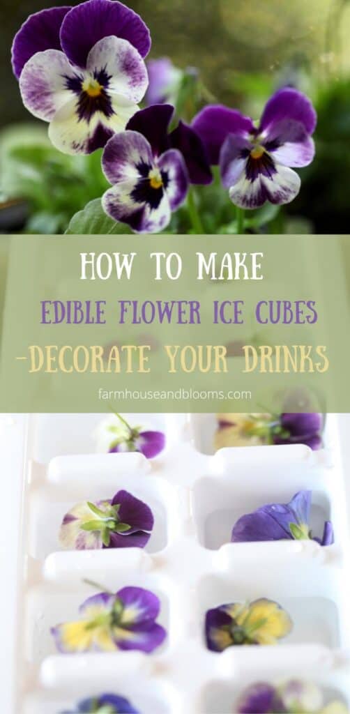 How to Make Edible Flower Ice Cubes