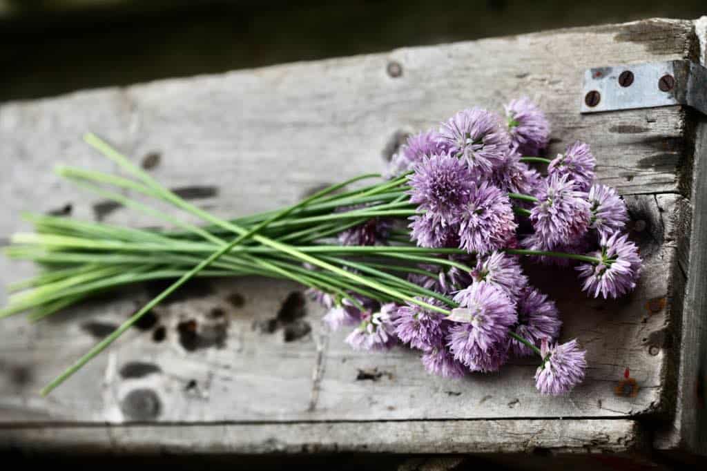 chives on a wooden crate