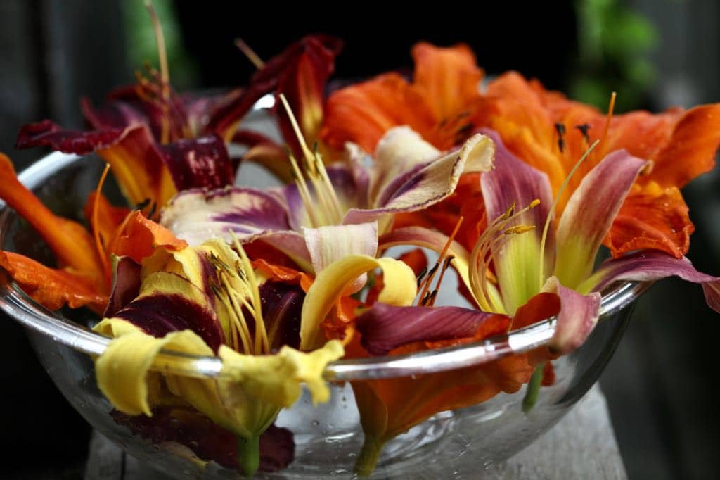 colorful daylilies in a bowl