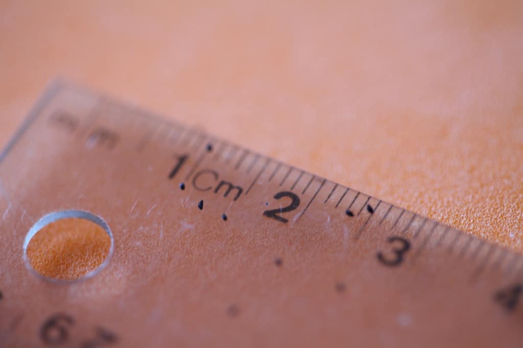 coral bell seeds on a ruler demonstrating the size of the seeds, showing how to grow coral bells
