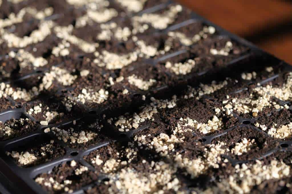 a cell tray with soil and vermiculite to  grow violas from seed