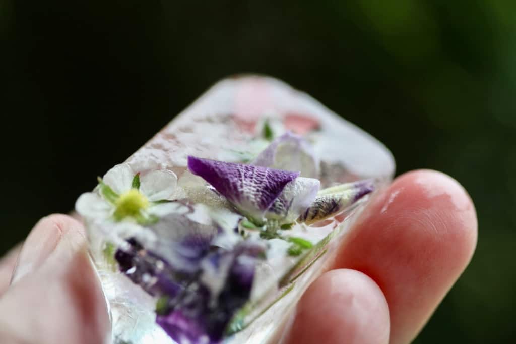 a hand holding an ice cube full of edible flowers