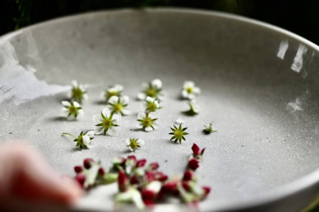 edible flower buds and blossoms in a beige bowl