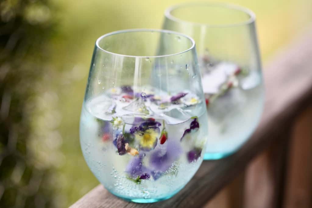 two glasses of decorated drinks with edible flower ice cubes