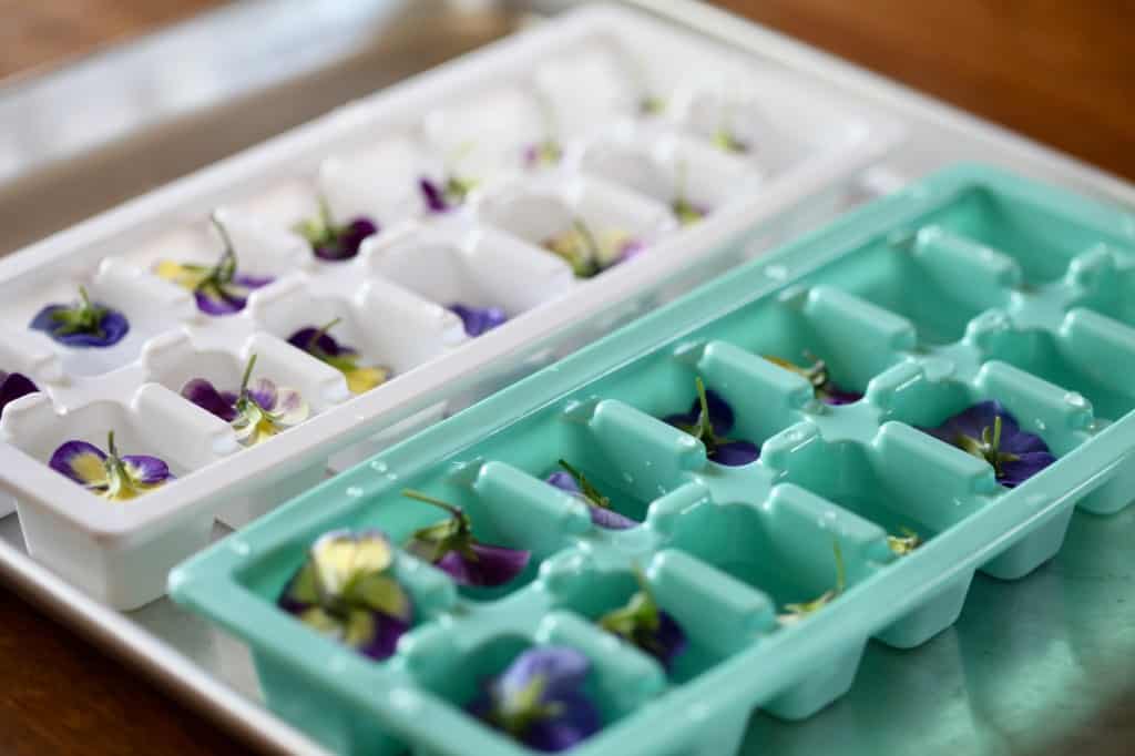 ice cube trays filled with edible flowers