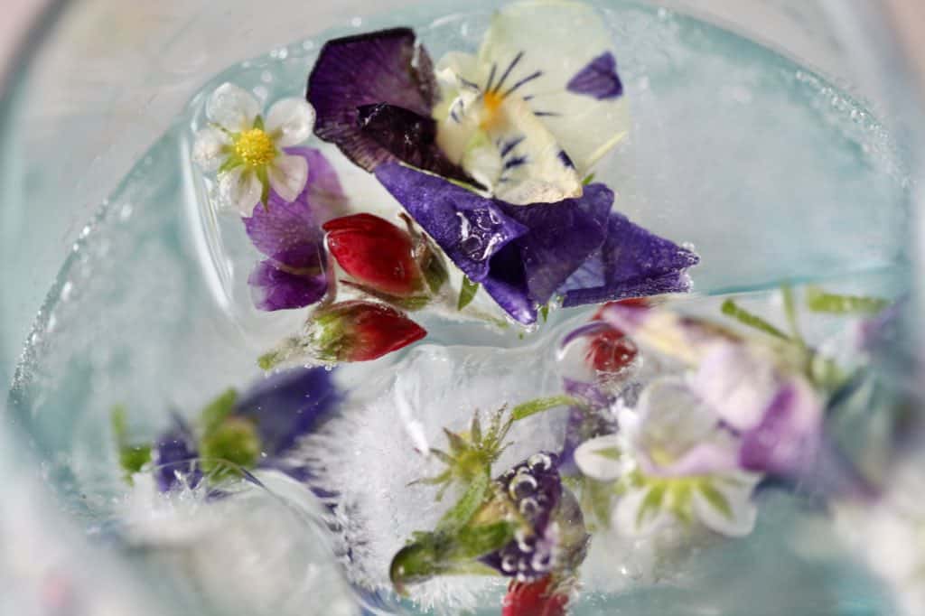 ice cubes full of edible flowers