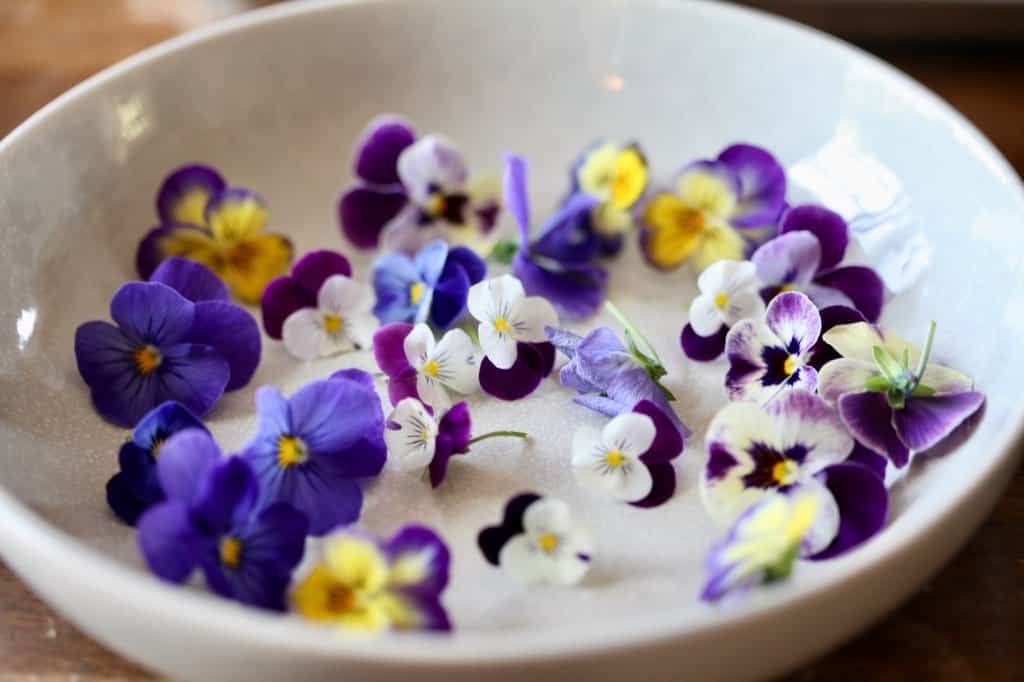 a bowl of violas for making edible flower ice cubes