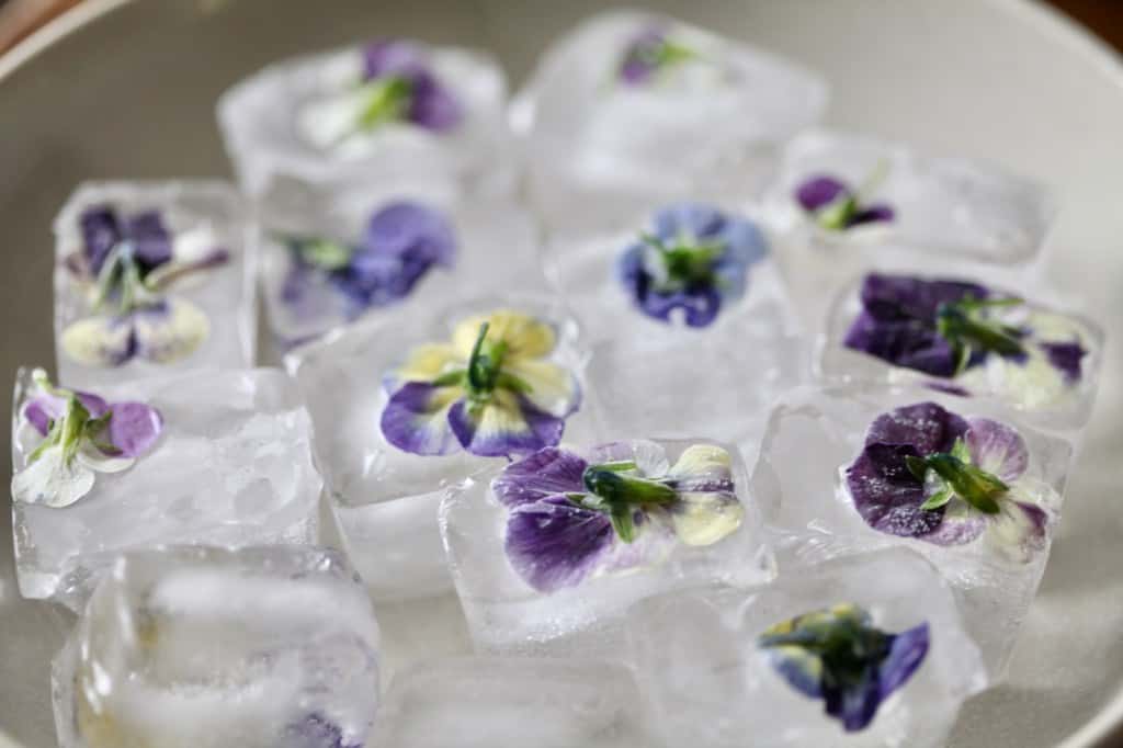single flower ice cubes with violas