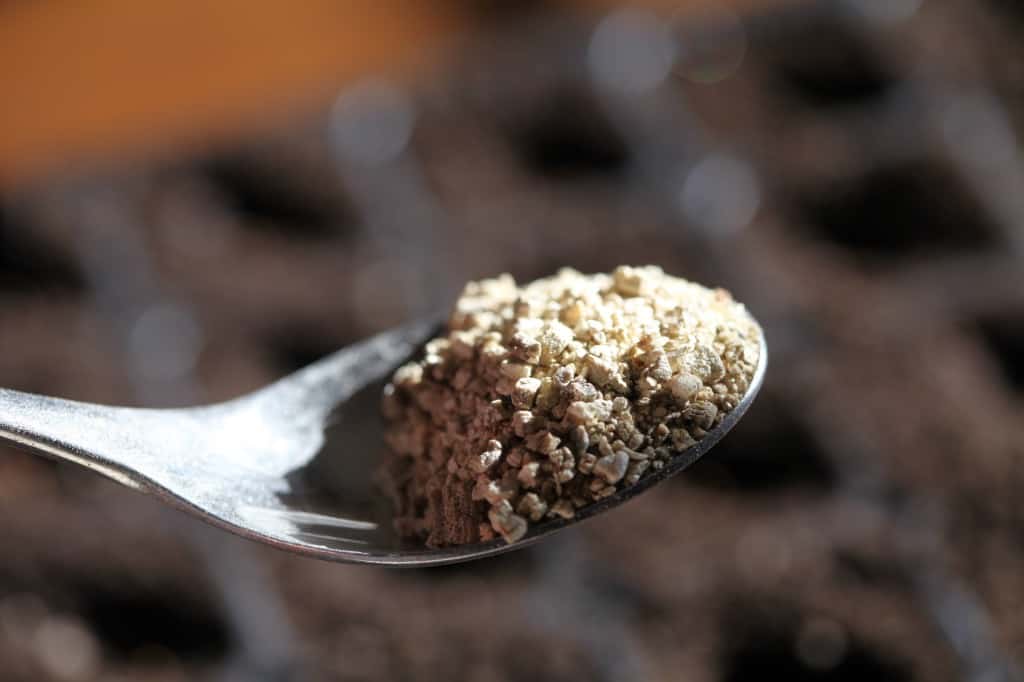 a spoon full of vermiculite 