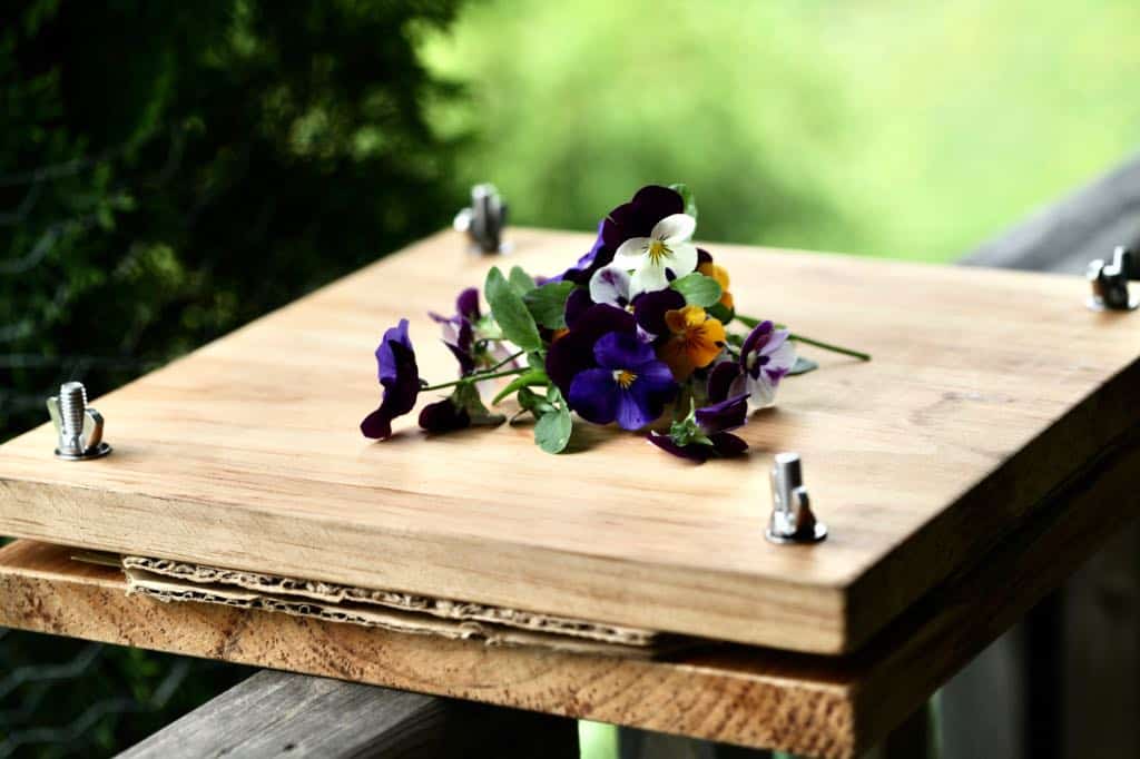 a wooden flower press with a bouquet of pansies on top