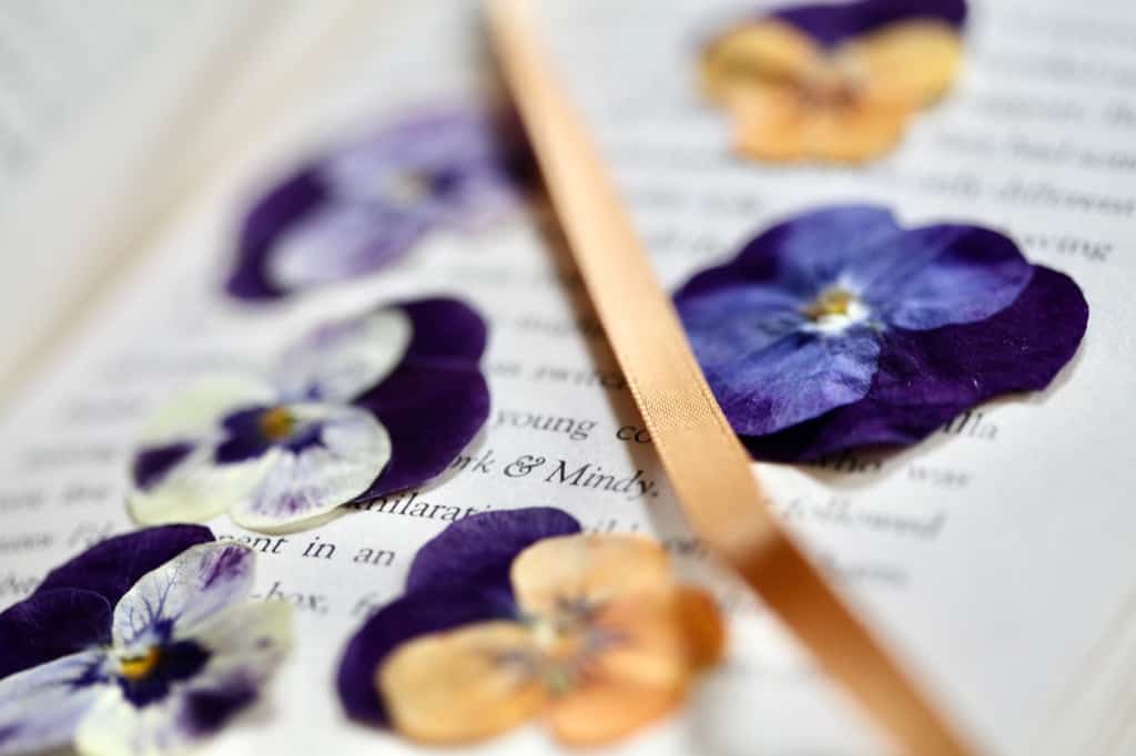 pressed pansies in a book