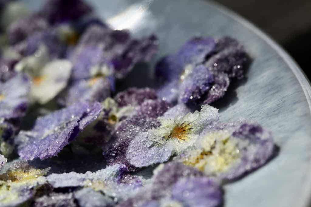 candied pansies on a plate