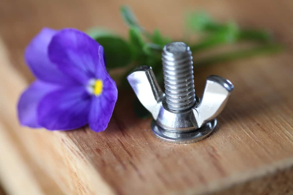 closed wooden flower press secured with a bolt next to a purple pansy flower